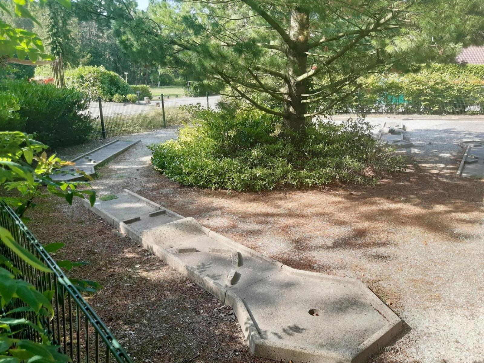 Bungalow - 6 Personen Gelegen In De Nabije Omgeving Van Avonturenpark Hellendoorn En De Prachtige Sallandse Heuvelrug En Eelerberg Εξωτερικό φωτογραφία
